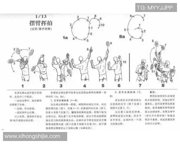 从零基础到高手之路羽毛球节奏与技巧全方位指南 从零基础到高手之路羽毛球节奏与技巧全方位指南